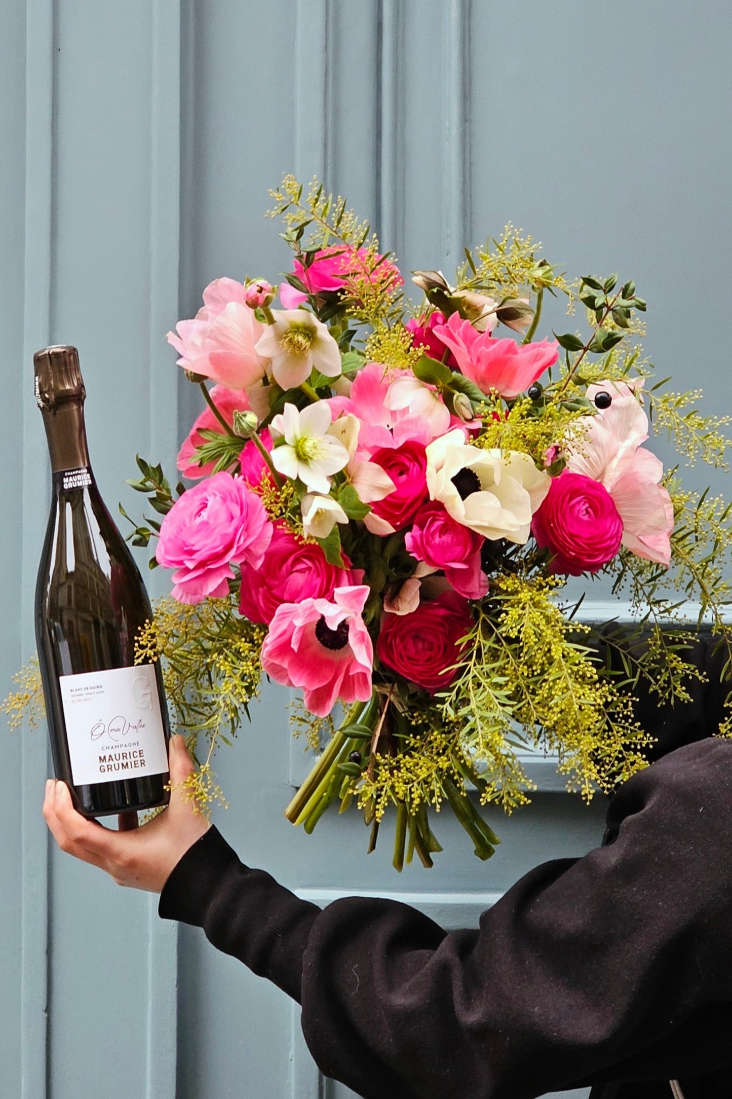 a. French's Valentine (DAPHNEE x AMPELOS)