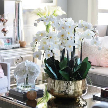 Coupe d'orchidées