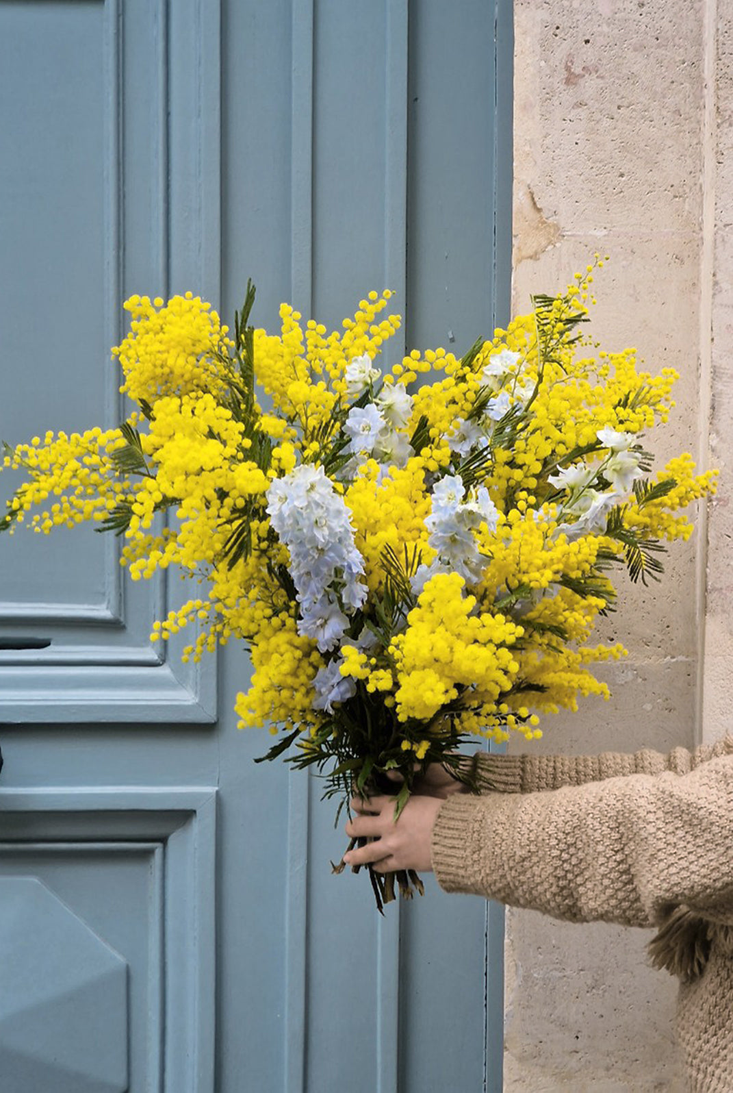 Bouquet de Mimosa 'Bleu mimosa'