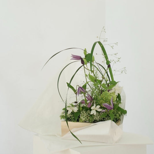 b. Kasumi, boîte japonaise